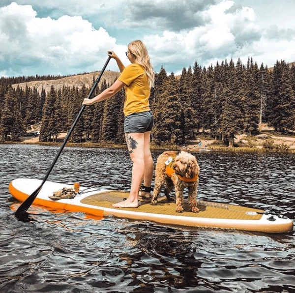 Pop Board Co Ratchet Carbon SUP Paddle (2-Piece) - Image 4